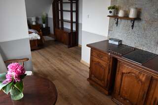 Проживание в семье Apartamenty Panorama-Gromadzyń Устшики-Дольне Апартаменты с видом на горы-5